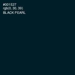 #001E27 - Black Pearl Color Image